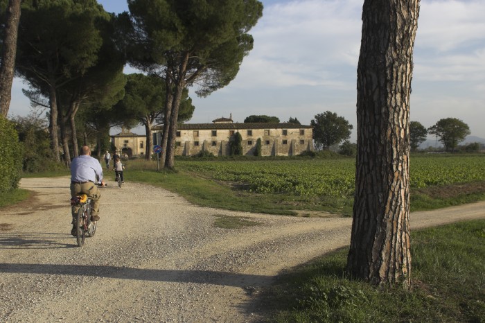 Cascine di Tavola, campagna circostante.