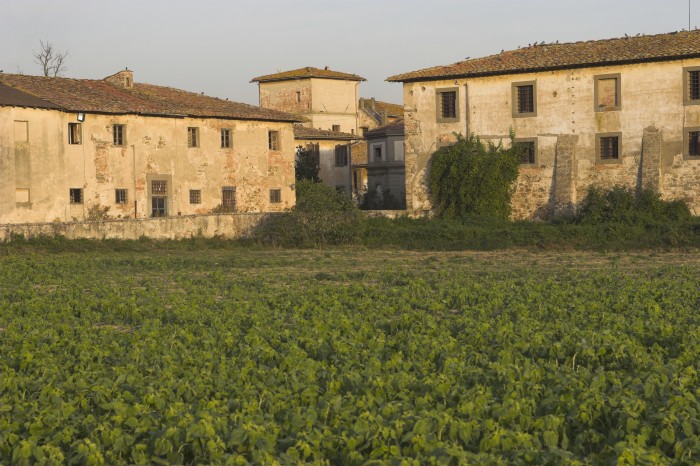 Cascine di Tavola, vista dal parco.