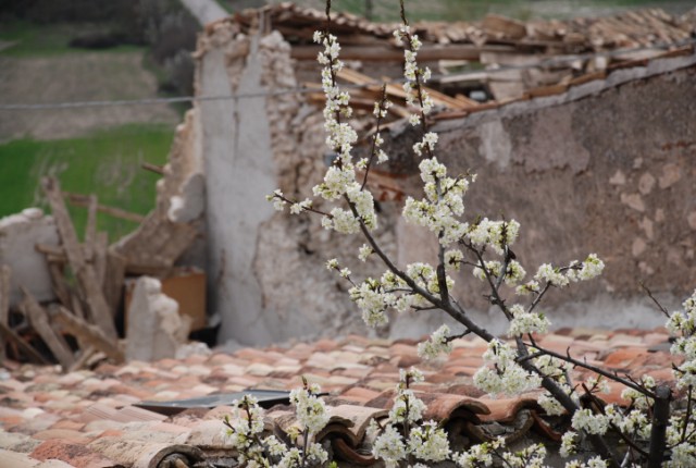 Un ramo fiorito in primo piano sullo sfondo del disastro