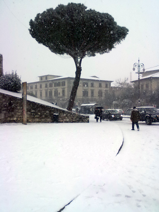 Pedoni sulla neve