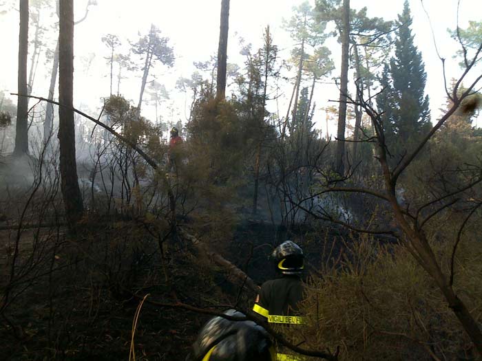 L'intervento dei Vigili del Fuoco