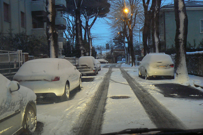 Strada alberata sotto la neve