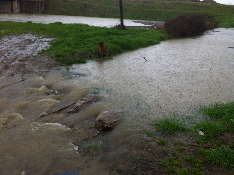 Acqua in via Argine della Bardena