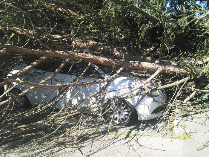 Danni alle auto in sosta in Via Palasaccio