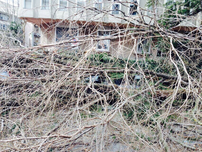 Danni alle auto in Via Parigi