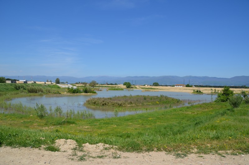 21 - Ombrone - Prato - Vista  panoramica della cassa d'espansione di via Ponte di Ferro
