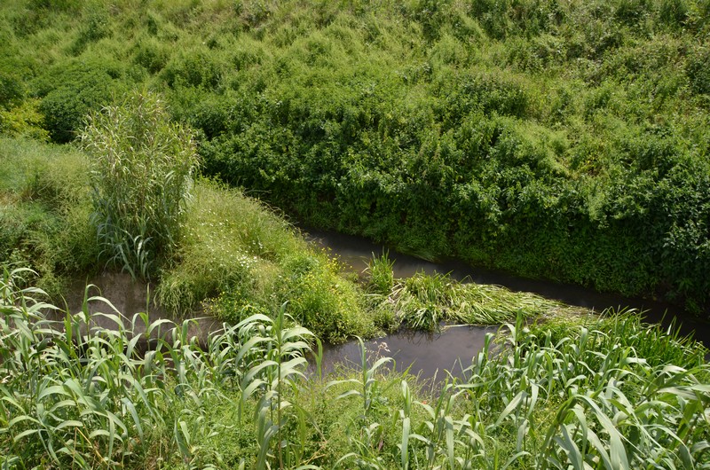 27 - Bardena Iolo - Confluenza del torrente Ficarello nel torrente Bardena - Iolo