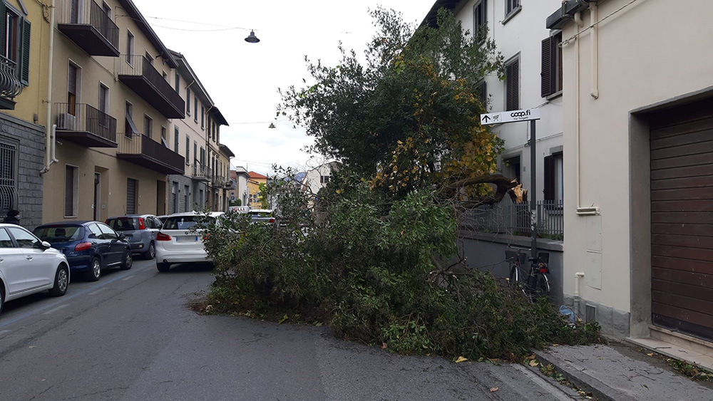 Albero caduto sulla strada in via Battisti